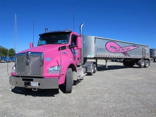 A pink semi truck parked in the middle of nowhere.