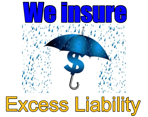 A blue umbrella with the words we insure excess liability underneath it.